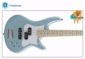 guitar review GIF by Gifs Lab
