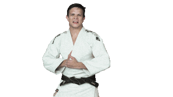 Fight Swipe Up Sticker by Czech judo