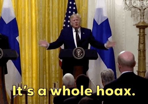 Giphy - Donald Trump Hoax GIF