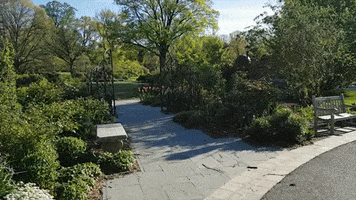 Rose Garden GIF by Swarthmore College Libraries
