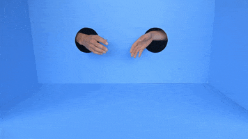 Lindyhengst GIF