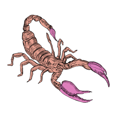 Astrology Scorpio Sticker by Luisa Eloisa