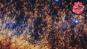 Glowing James Webb GIF by ESA Webb Space Telescope