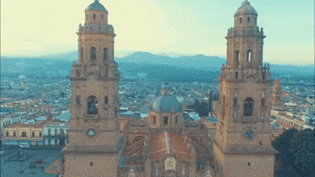 Alfonso Martínez Alcázar GIF