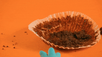 Hungry Stop Motion GIF by Motoko World
