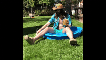 Back Yard Summer GIF by Bent Stick Brewing