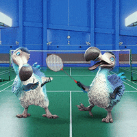Badminton GIF by Dodo Australia