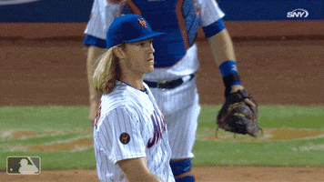 ny mets sport GIF by New York Mets