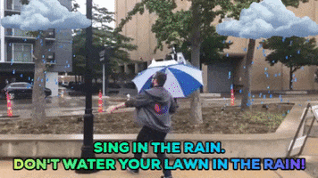 Rainy Day Rain GIF by Fort Worth Water