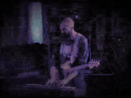 GIF by POND