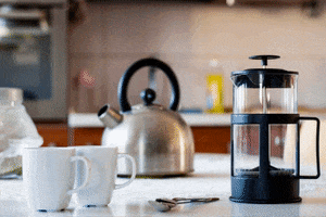 Mate GIF
