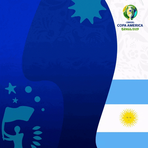 argentina vibraocontinente GIF by Copa América