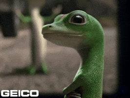 Dunno Idk GIF by GEICO