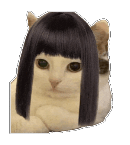 Angry Cat Sticker