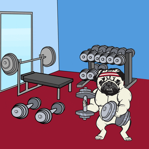 Lifting Weights Dog GIF by Pug Life Agency®