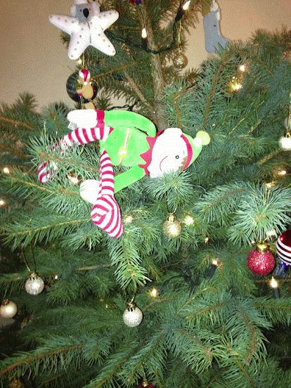 kodak presents disneyland 59