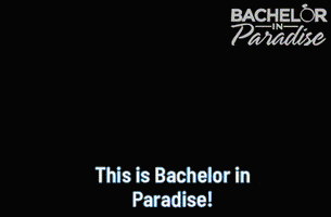 Bachelornationau GIF by BachelorInParadiseAU