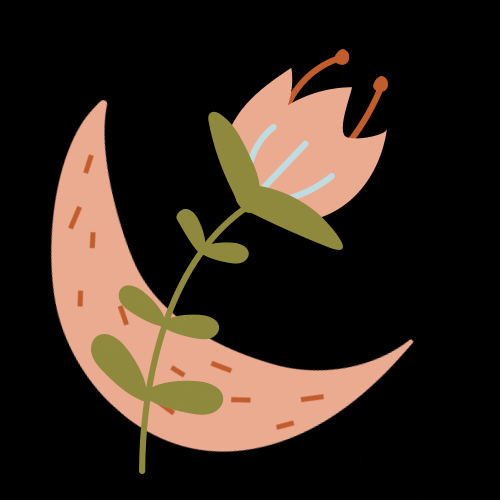 lizamironec pink flower moon present GIF