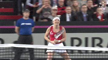Celebration Tennis GIF by Fed Cup by BNP Paribas