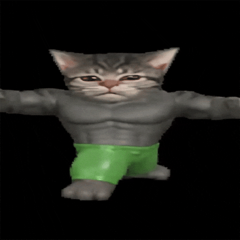 Cat Spinning GIF by POST-WEB