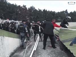 juanmanuelvegal  GIF