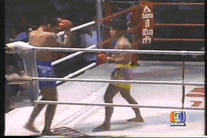 Kongtoranee GIF