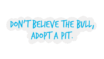 Biggies Bullies Sticker