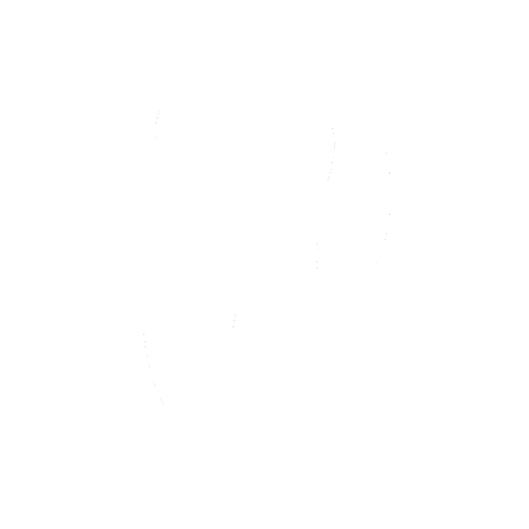 Basketball Sticker by Pistoia Basket Academy