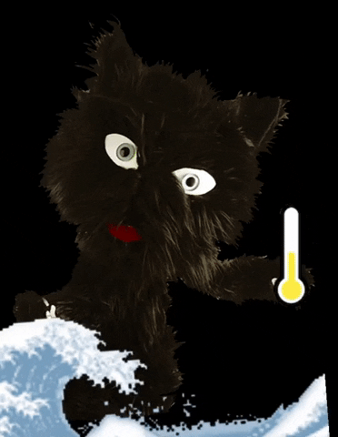 Crewat Cat Cambioclimatico GIF by Cat - crew Armando Testa