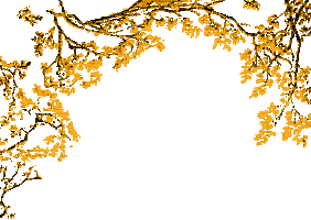 ozkarslioglu Sticker