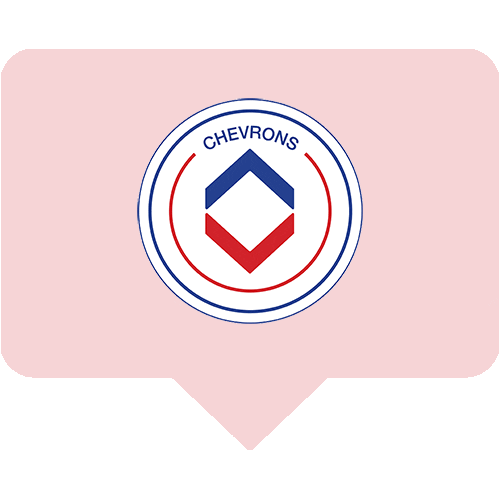 Love Sticker by Chevrons