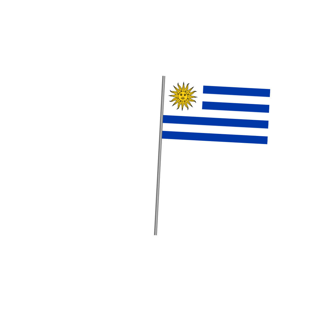 Partido Nacional Uruguay Sticker by Luis for iOS & Android GIPHY