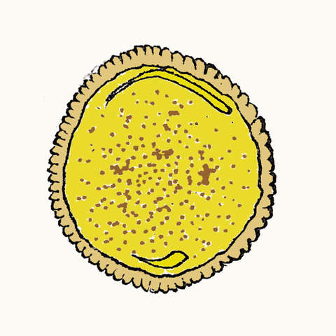 Custard Tart Bakery GIF