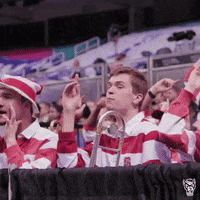 Travel Wolfpack GIF by NC State Athletics