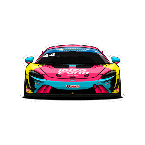 Car Racing Sticker