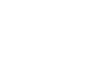 Lifeselectric Sticker by Florian
