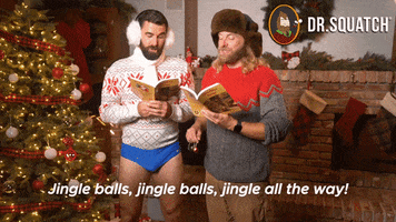 Jingle All The Way Christmas GIF by DrSquatch