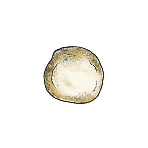 Kombucha Sticker by Beto THOI