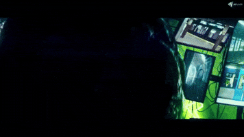 fern  GIF