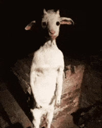 GIF by Koduxa