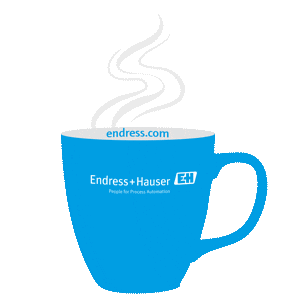 Endress+Hauser Group Sticker