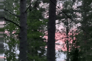 Sky Heinola GIF