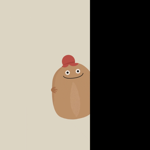 wesola cafe GIF