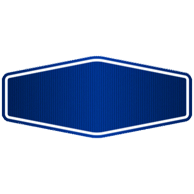 Purolator Mx Sticker