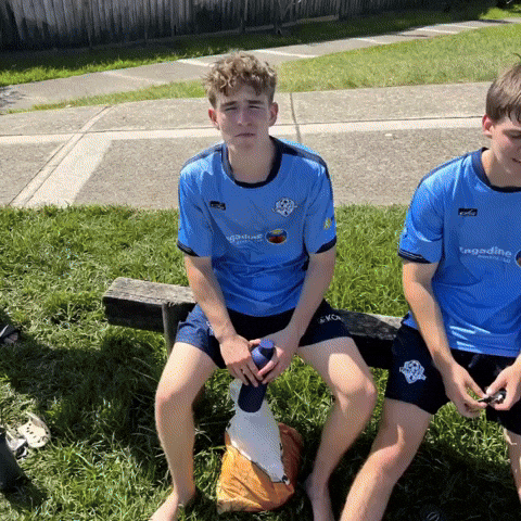 Boscobears GIF by Braken