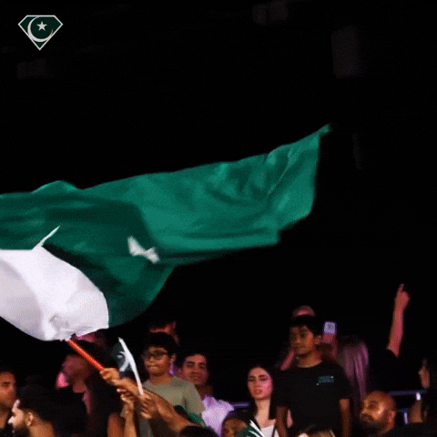 Independence Day Flag GIF