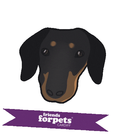 Friends For Pets Cardiff Sticker