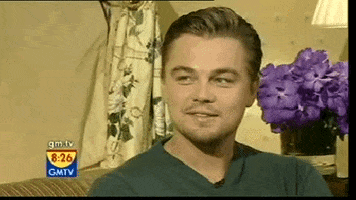 Leonardo Dicaprio Flirt GIF