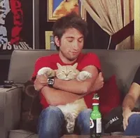 cat hug GIF