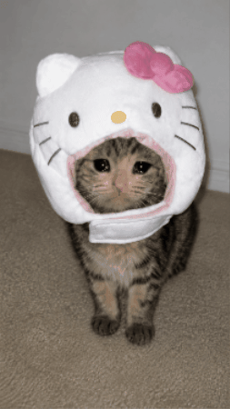 Sad GIF